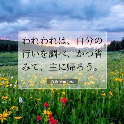 Picture 07 - 哀歌 3:40 JPN - われわれは、自分の行いを調べ、か - Bible Verse Picture
