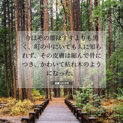 Picture 07 - 哀歌 4:8 JPN - 今はその顔はすすよりも黒く、町の - Bible Verse Picture