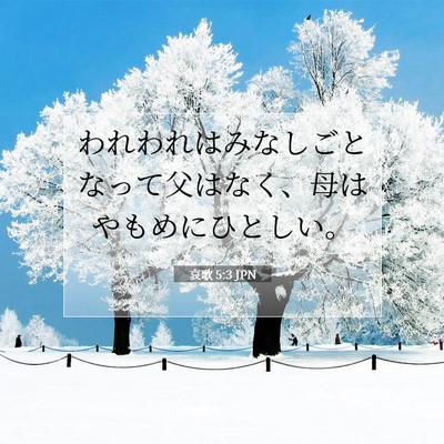 Picture 07 - 哀歌 5:3 JPN - われわれはみなしごとなって父はな - Bible Verse Picture