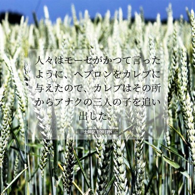 Picture 07 - 士師記 1:20 JPN - 人々はモーセがかつて言ったように - Bible Verse Picture