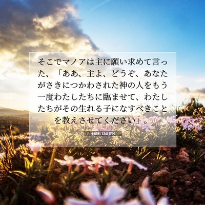 Picture 07 - 士師記 13:8 JPN - そこでマノアは主に願い求めて言っ - Bible Verse Picture