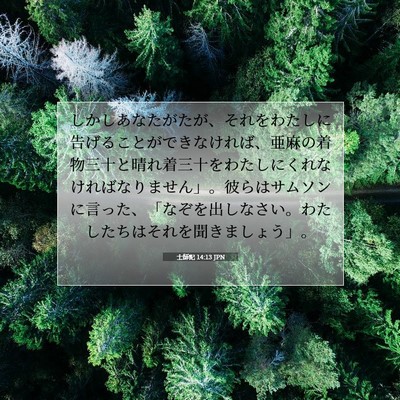 Picture 07 - 士師記 14:13 JPN - しかしあなたがたが、それをわたし - Bible Verse Picture