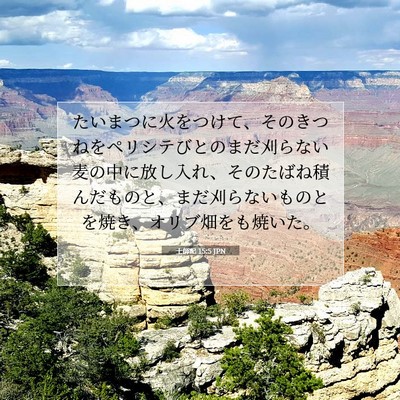 Picture 07 - 士師記 15:5 JPN - たいまつに火をつけて、そのきつね - Bible Verse Picture