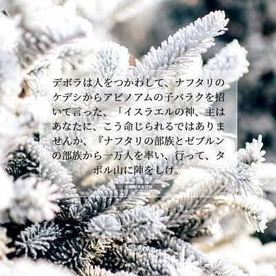 Picture 07 - 士師記 4:6 JPN - デボラは人をつかわして、ナフタリ - Bible Verse Picture