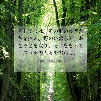 Picture 07 - 士師記 8:16 JPN - そして彼は、その町の長老たちを捕 - Bible Verse Picture