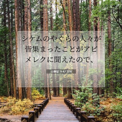 Picture 07 - 士師記 9:47 JPN - シケムのやぐらの人々が皆集まった - Bible Verse Picture