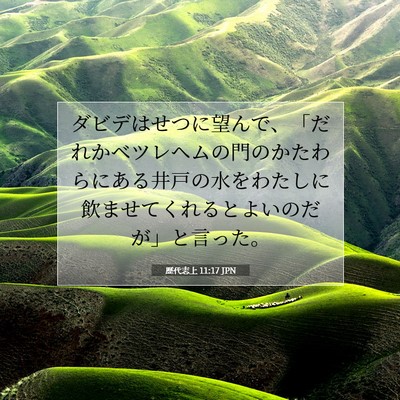Picture 07 - 歴代志上 11:17 JPN - ダビデはせつに望んで、「だれかベ - Bible Verse Picture
