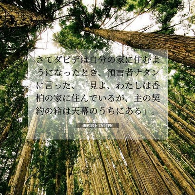 Picture 07 - 歴代志上 17:1 JPN - さてダビデは自分の家に住むように - Bible Verse Picture