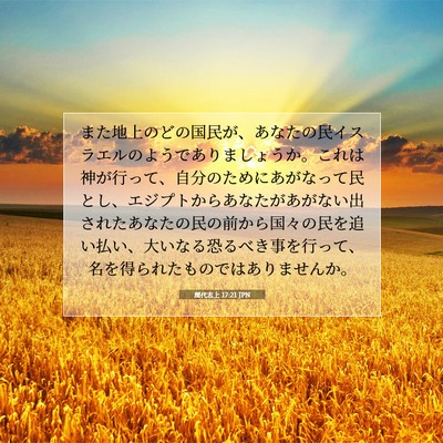 Picture 07 - 歴代志上 17:21 JPN - また地上のどの国民が、あなたの民 - Bible Verse Picture