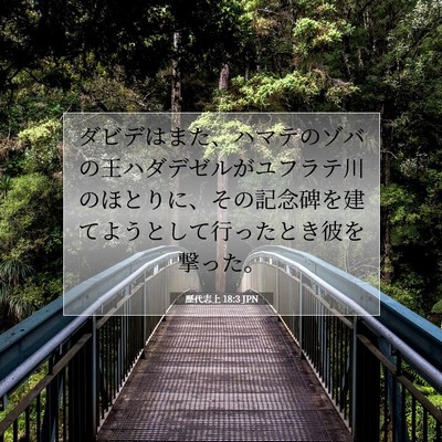 Picture 07 - 歴代志上 18:3 JPN - ダビデはまた、ハマテのゾバの王ハ - Bible Verse Picture