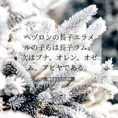 Picture 07 - 歴代志上 2:25 JPN - ヘヅロンの長子エラメルの子らは長 - Bible Verse Picture
