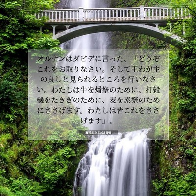 Picture 07 - 歴代志上 21:23 JPN - オルナンはダビデに言った、「どう - Bible Verse Picture
