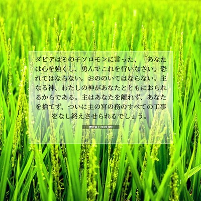Picture 07 - 歴代志上 28:20 JPN - ダビデはその子ソロモンに言った、 - Bible Verse Picture