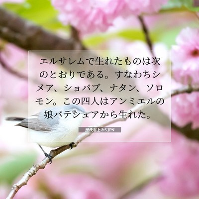 Picture 07 - 歴代志上 3:5 JPN - エルサレムで生れたものは次のとお - Bible Verse Picture