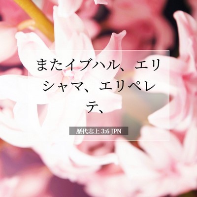 Picture 07 - 歴代志上 3:6 JPN - またイブハル、エリシャマ、エリペ - Bible Verse Picture