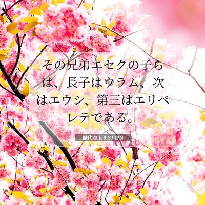 Picture 07 - 歴代志上 8:39 JPN - その兄弟エセクの子らは、長子はウ - Bible Verse Picture