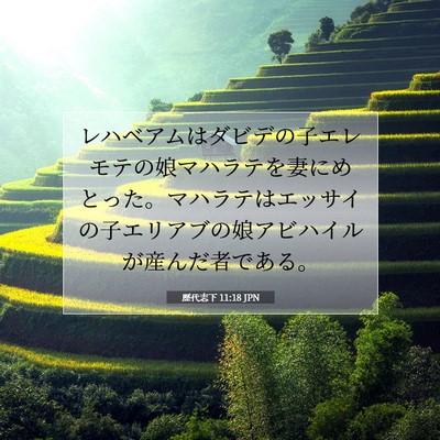 Picture 07 - 歴代志下 11:18 JPN - レハベアムはダビデの子エレモテの - Bible Verse Picture