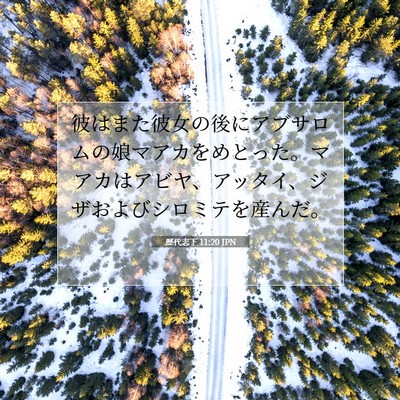 Picture 07 - 歴代志下 11:20 JPN - 彼はまた彼女の後にアブサロムの娘 - Bible Verse Picture