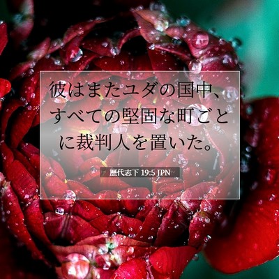 Picture 07 - 歴代志下 19:5 JPN - 彼はまたユダの国中、すべての堅固 - Bible Verse Picture