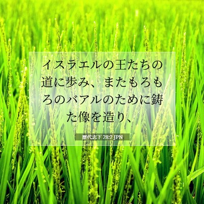 Picture 07 - 歴代志下 28:2 JPN - イスラエルの王たちの道に歩み、ま - Bible Verse Picture