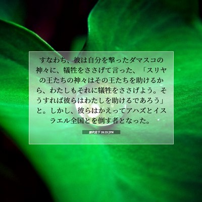 Picture 07 - 歴代志下 28:23 JPN - すなわち、彼は自分を撃ったダマス - Bible Verse Picture