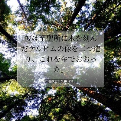 Picture 07 - 歴代志下 3:10 JPN - 彼は至聖所に木を刻んだケルビムの - Bible Verse Picture