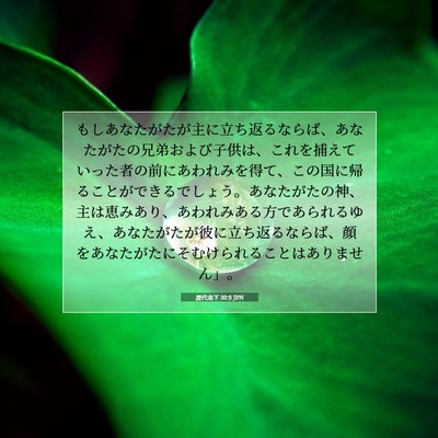 Picture 07 - 歴代志下 30:9 JPN - もしあなたがたが主に立ち返るなら - Bible Verse Picture