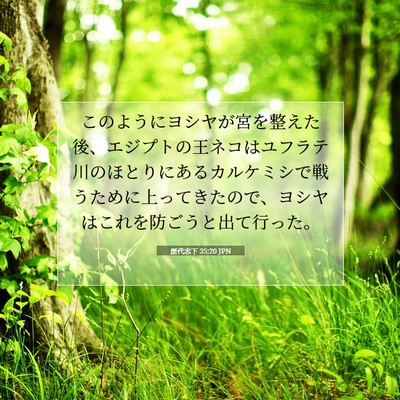 Picture 07 - 歴代志下 35:20 JPN - このようにヨシヤが宮を整えた後、 - Bible Verse Picture