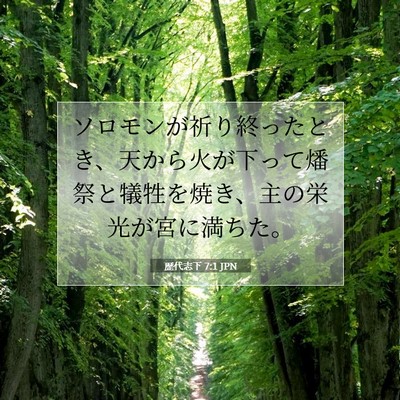 Picture 07 - 歴代志下 7:1 JPN - ソロモンが祈り終ったとき、天から - Bible Verse Picture