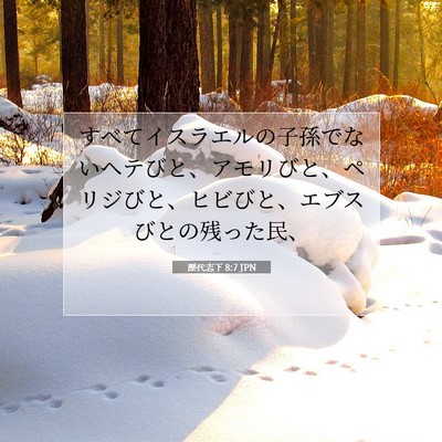Picture 07 - 歴代志下 8:7 JPN - すべてイスラエルの子孫でないヘテ - Bible Verse Picture