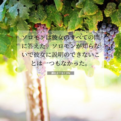 Picture 07 - 歴代志下 9:2 JPN - ソロモンは彼女のすべての問に答え - Bible Verse Picture