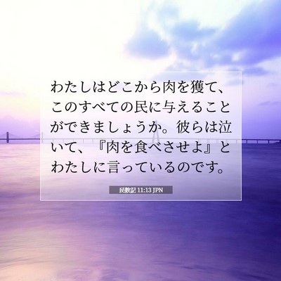 Picture 07 - 民数記 11:13 JPN - わたしはどこから肉を獲て、このす - Bible Verse Picture