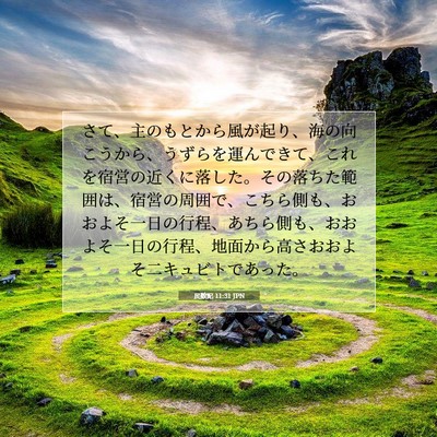 Picture 07 - 民数記 11:31 JPN - さて、主のもとから風が起り、海の - Bible Verse Picture