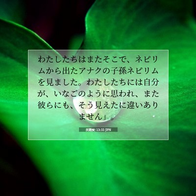 Picture 07 - 民数記 13:33 JPN - わたしたちはまたそこで、ネピリム - Bible Verse Picture