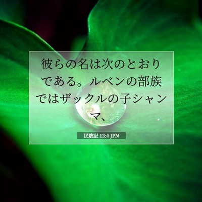 Picture 07 - 民数記 13:4 JPN - 彼らの名は次のとおりである。ルベ - Bible Verse Picture