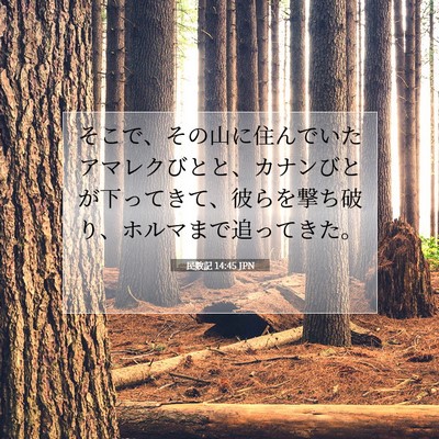 Picture 07 - 民数記 14:45 JPN - そこで、その山に住んでいたアマレ - Bible Verse Picture