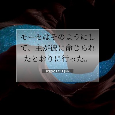 Picture 07 - 民数記 17:11 JPN - モーセはそのようにして、主が彼に - Bible Verse Picture