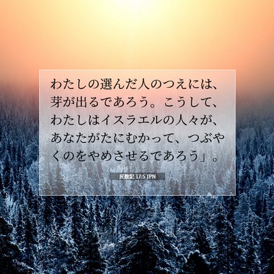 Picture 07 - 民数記 17:5 JPN - わたしの選んだ人のつえには、芽が - Bible Verse Picture