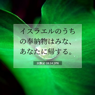 Picture 07 - 民数記 18:14 JPN - イスラエルのうちの奉納物はみな、 - Bible Verse Picture