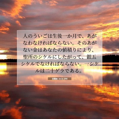 Picture 07 - 民数記 18:16 JPN - 人のういごは生後一か月で、あがな - Bible Verse Picture