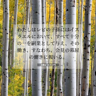 Picture 07 - 民数記 18:21 JPN - わたしはレビの子孫にはイスラエル - Bible Verse Picture