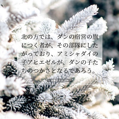 Picture 07 - 民数記 2:25 JPN - 北の方では、ダンの宿営の旗につく - Bible Verse Picture
