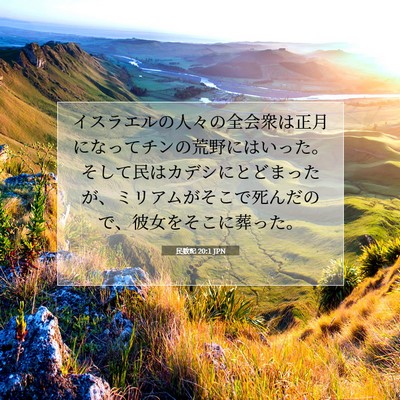 Picture 07 - 民数記 20:1 JPN - イスラエルの人々の全会衆は正月に - Bible Verse Picture