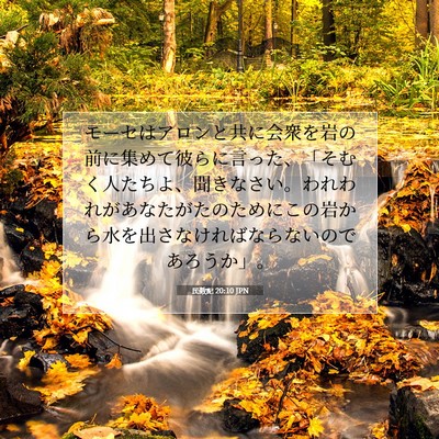 Picture 07 - 民数記 20:10 JPN - モーセはアロンと共に会衆を岩の前 - Bible Verse Picture