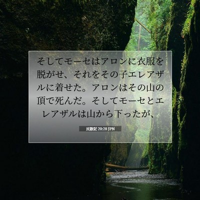 Picture 07 - 民数記 20:28 JPN - そしてモーセはアロンに衣服を脱が - Bible Verse Picture