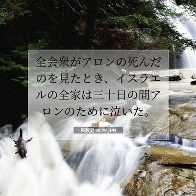 Picture 07 - 民数記 20:29 JPN - 全会衆がアロンの死んだのを見たと - Bible Verse Picture