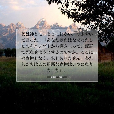 Picture 07 - 民数記 21:5 JPN - 民は神とモーセとにむかい、つぶや - Bible Verse Picture