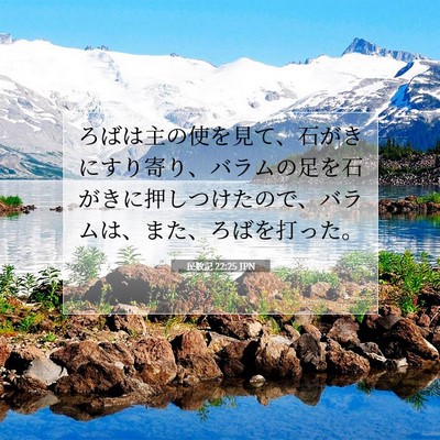 Picture 07 - 民数記 22:25 JPN - ろばは主の使を見て、石がきにすり - Bible Verse Picture