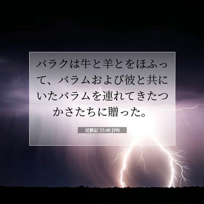 Picture 07 - 民数記 22:40 JPN - バラクは牛と羊とをほふって、バラ - Bible Verse Picture