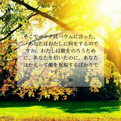 Picture 07 - 民数記 23:11 JPN - そこでバラクはバラムに言った、「 - Bible Verse Picture